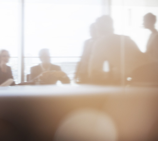 Supreme Court Defines the Scope of Duty and Damages in Professional Negligence: Routhan v PGG Wrightson Real Estate Ltd [2025] NZSC 68