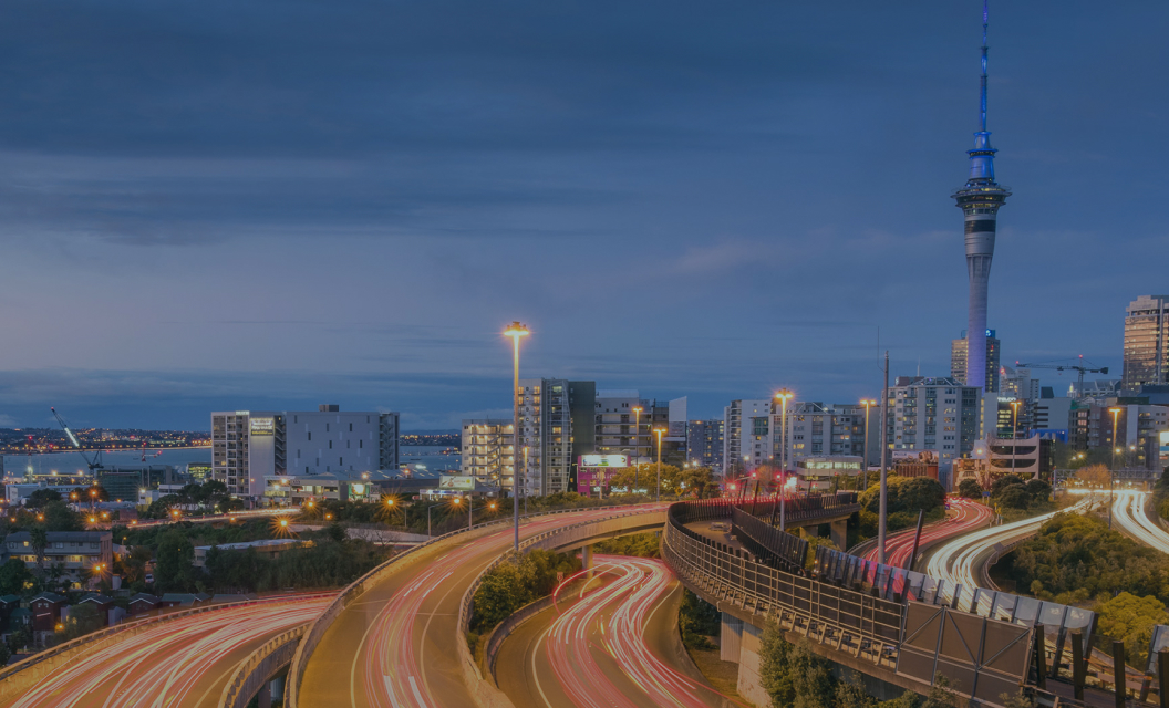 Pathways for Foreign Investment in NZ Forestry