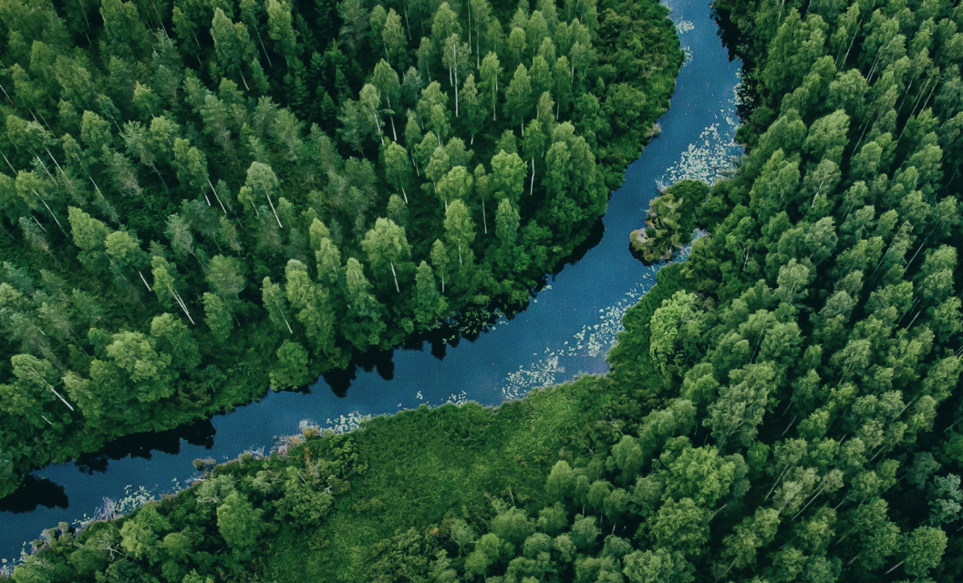 Forestry: Regulatory Roundup March 2024