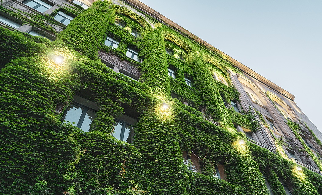 Residential tenancy laws have changed. What you need to know as a tenant.