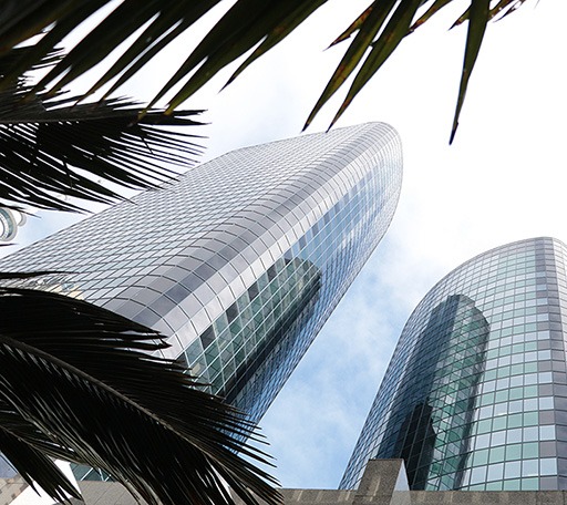 The Division of Jointly Owned Property