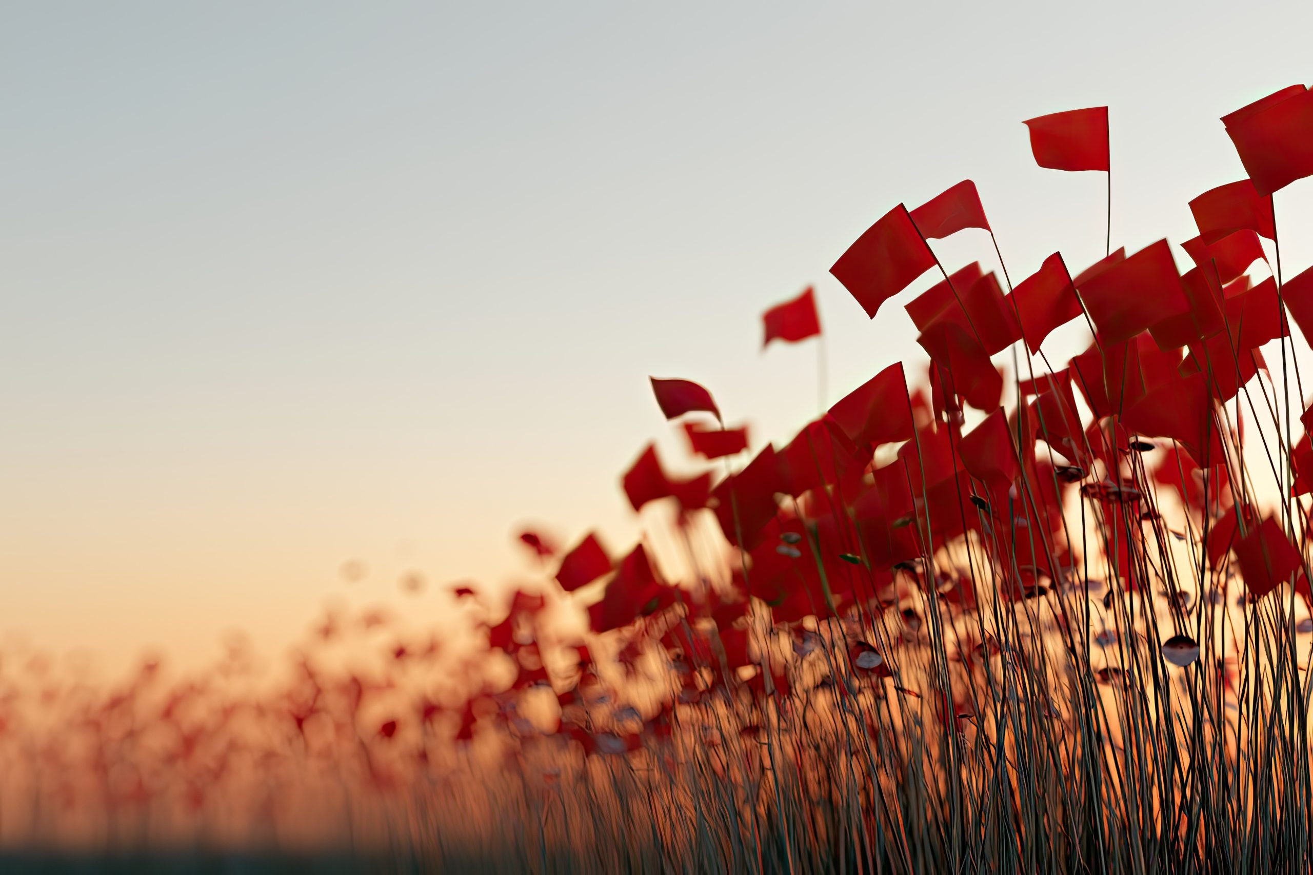 Records of Title: Red Flags Every Purchaser Should Understand